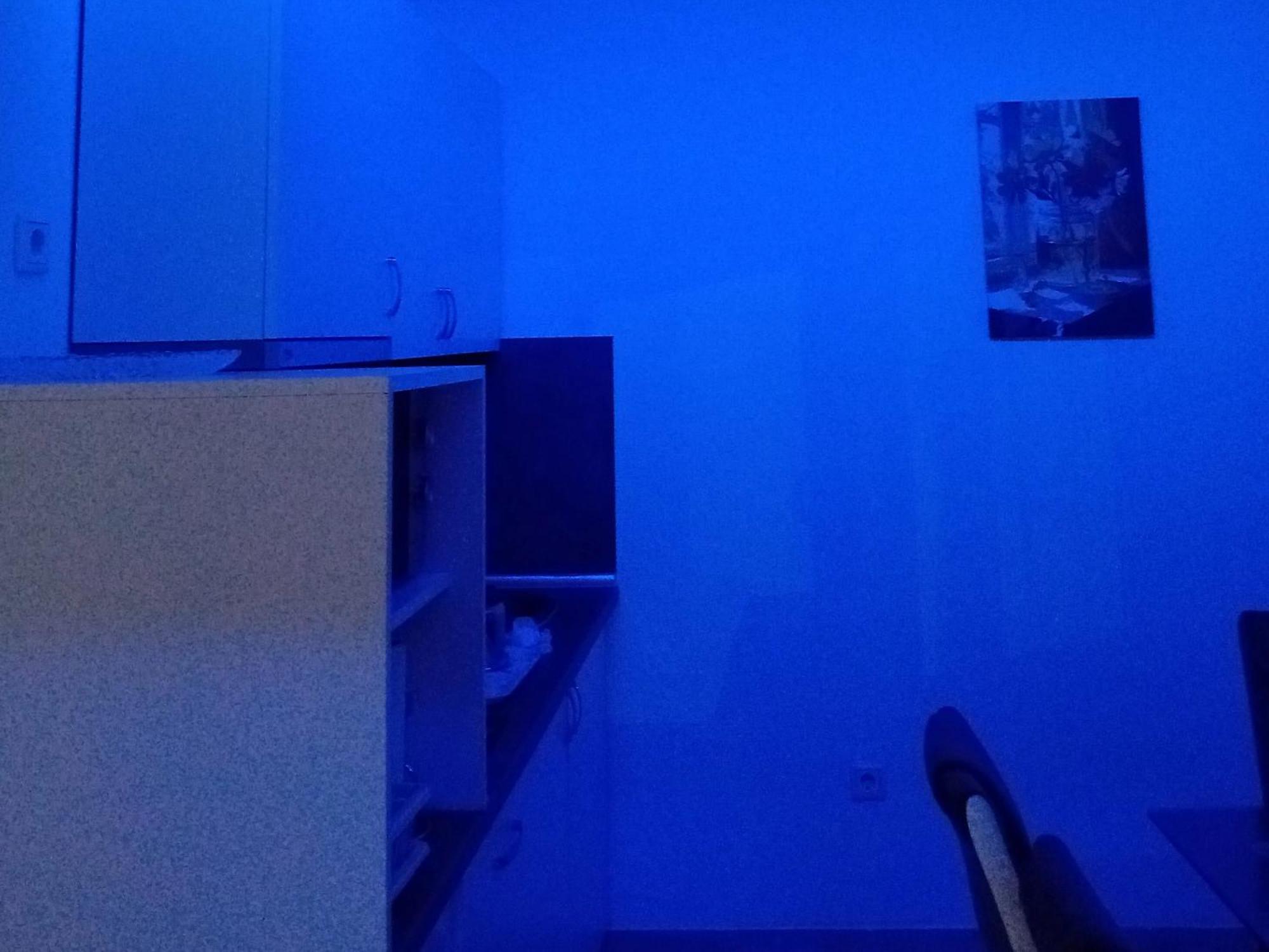 Apartman Edwin Яйце Стая снимка